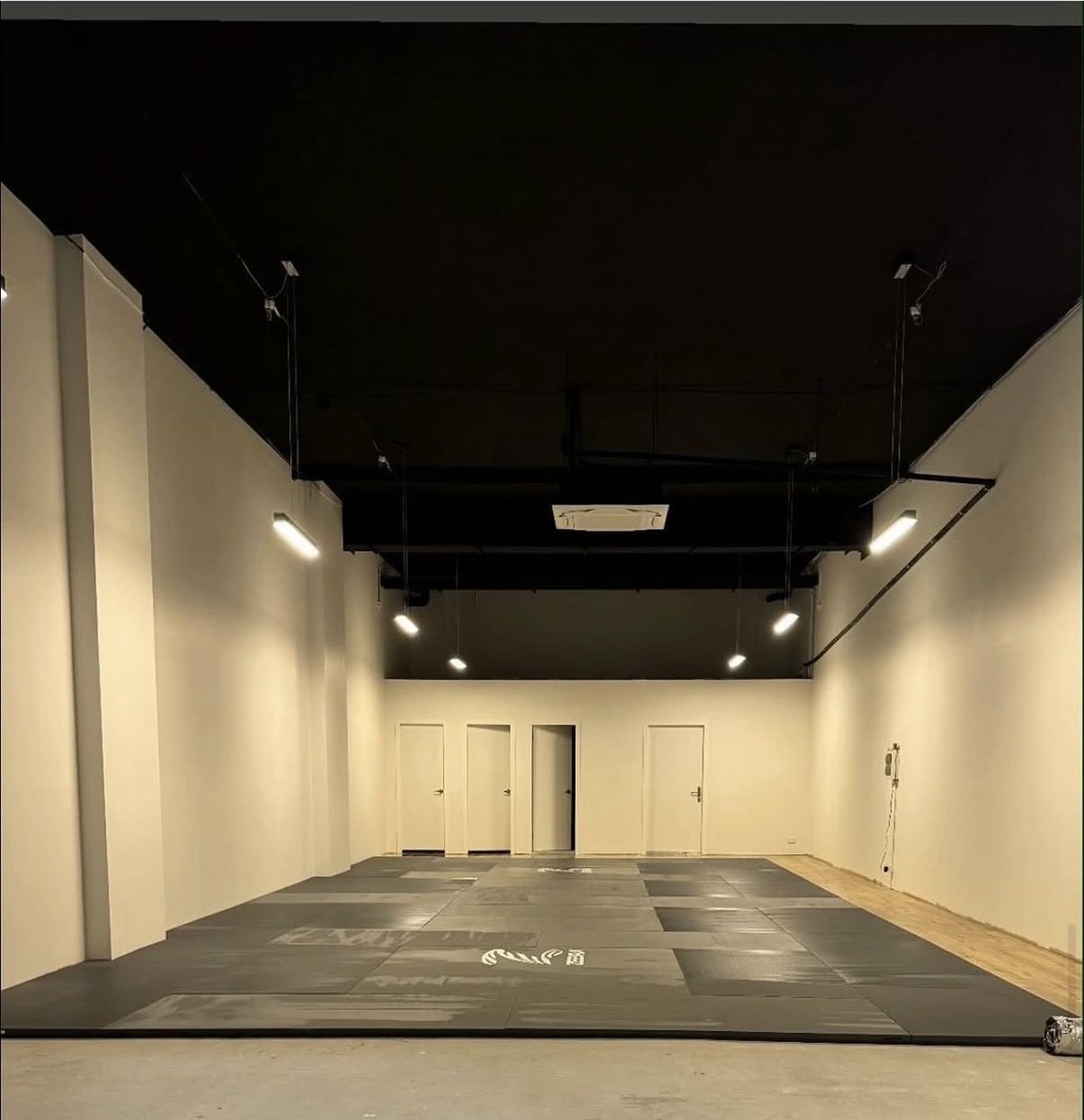 Martial arts studio lighting fit-out